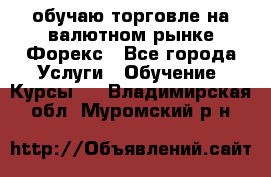 обучаю торговле на валютном рынке Форекс - Все города Услуги » Обучение. Курсы   . Владимирская обл.,Муромский р-н